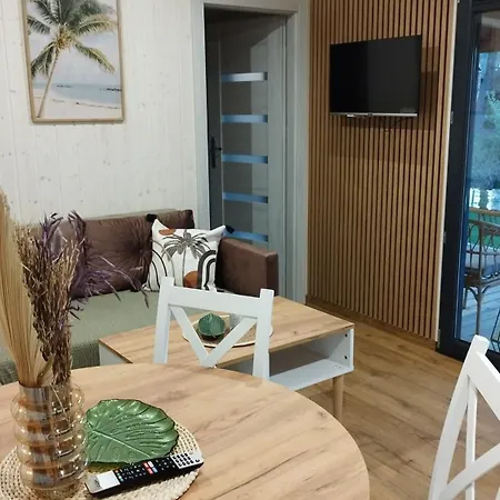 Zakatek * دمبكي