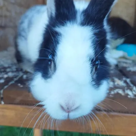 بيت للعطل Zakatek دمبكي