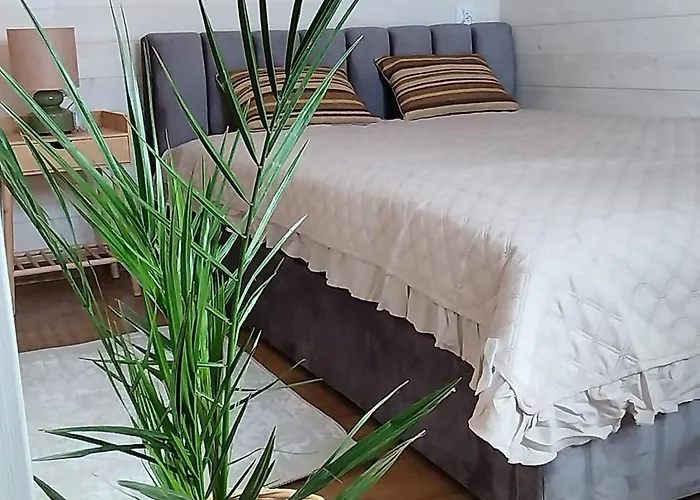 Zakatek デンプキ